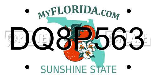 DQ8P563 Florida License Plate
