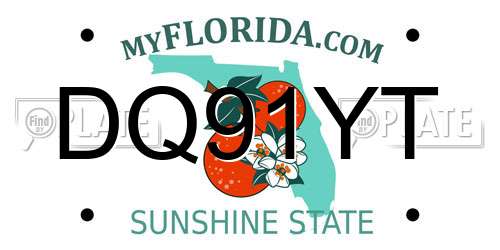 DQ91YT Florida License Plate