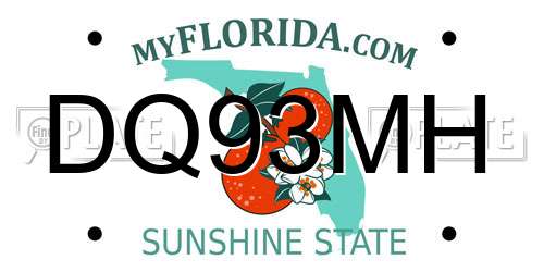 DQ93MH Florida License Plate