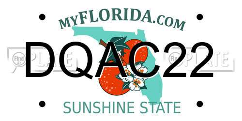 DQAC22 Florida License Plate