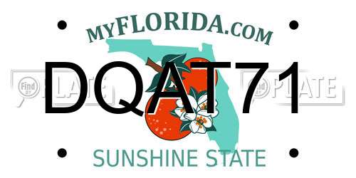 DQAT71 Florida License Plate