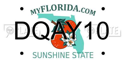 DQAY10 Florida License Plate