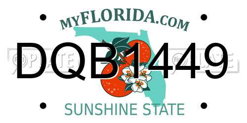 DQB1449 Florida License Plate