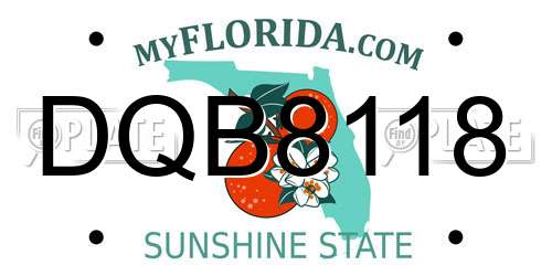 DQB8118 Florida License Plate