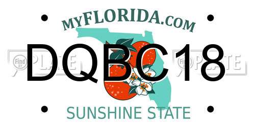 DQBC18 Florida License Plate