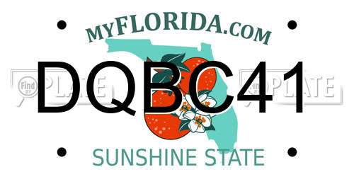 DQBC41 Florida License Plate