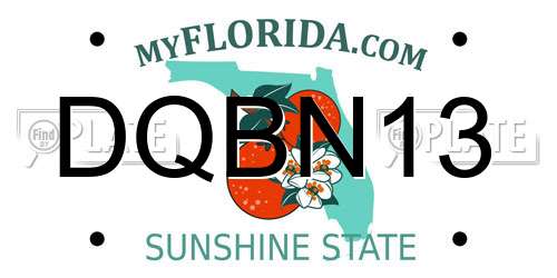 DQBN13 Florida License Plate