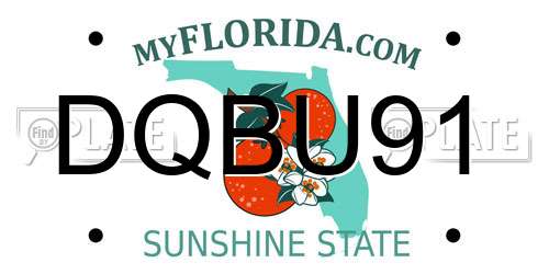 DQBU91 Florida License Plate