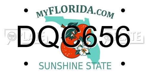 DQC656 Florida License Plate