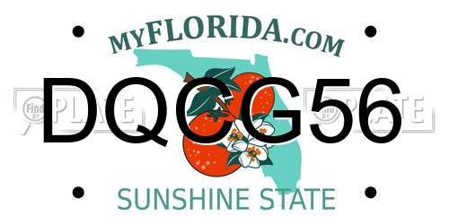 DQCG56 Florida License Plate