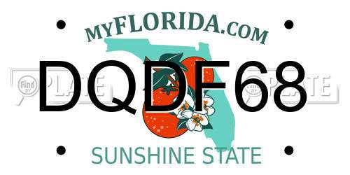 DQDF68 Florida License Plate