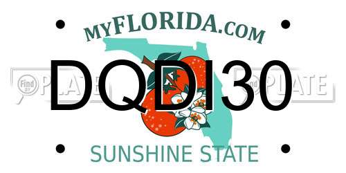 DQDI30 Florida License Plate