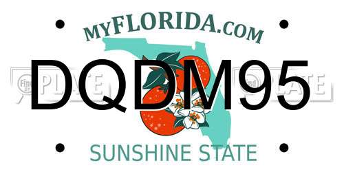 DQDM95 Florida License Plate
