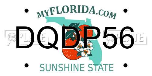 DQDP56 Florida License Plate