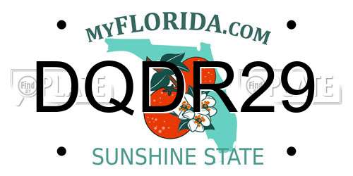 DQDR29 Florida License Plate