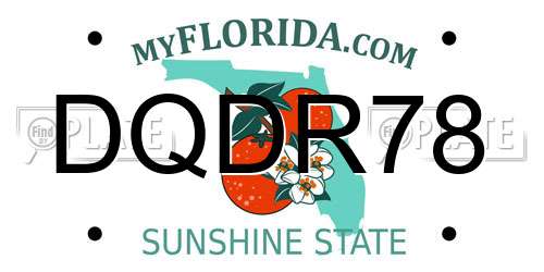 DQDR78 Florida License Plate