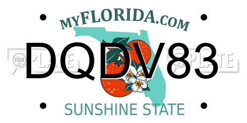 DQDV83 Florida License Plate