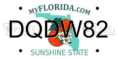 DQDW82 Florida License Plate