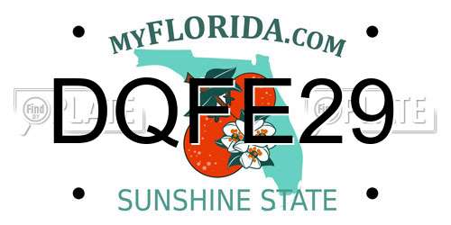 DQFE29 Florida License Plate