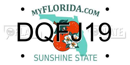 DQFJ19 Florida License Plate