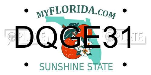 DQGE31 Florida License Plate