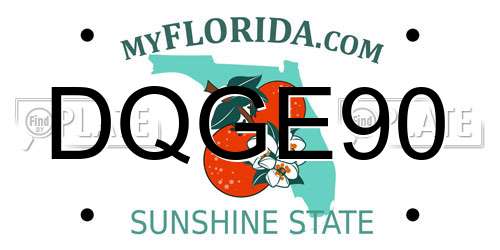 DQGE90 Florida License Plate