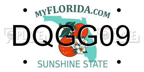 DQGG09 Florida License Plate