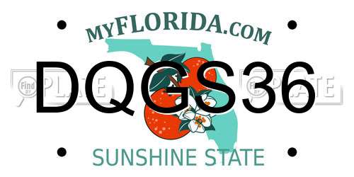 DQGS36 Florida License Plate