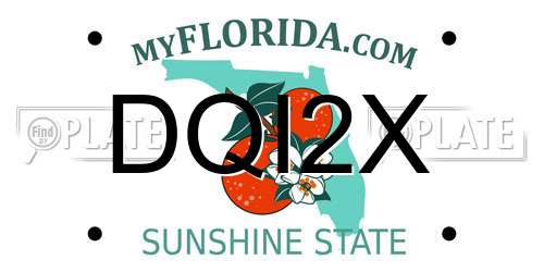 DQI2X Florida License Plate