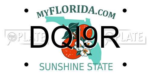 DQI9R Florida License Plate