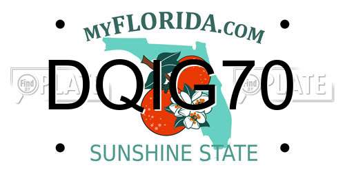 DQIG70 Florida License Plate