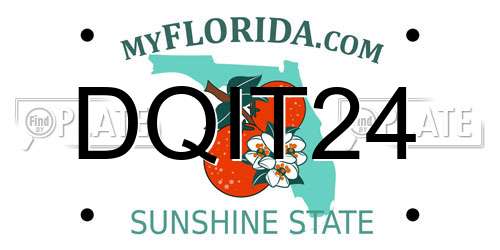 DQIT24 Florida License Plate