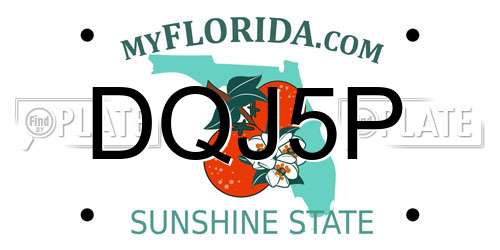 DQJ5P Florida License Plate