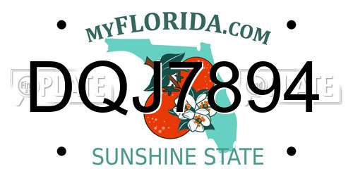 DQJ7894 Florida License Plate