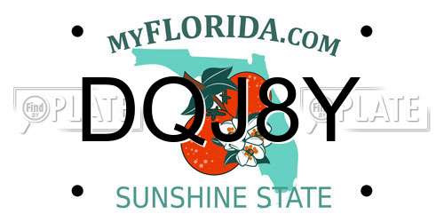 DQJ8Y Florida License Plate