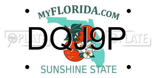 DQJ9P Florida License Plate