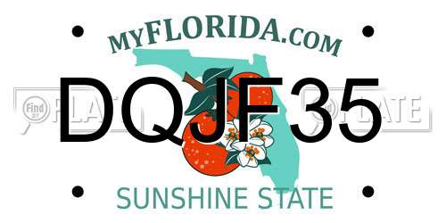 DQJF35 Florida License Plate