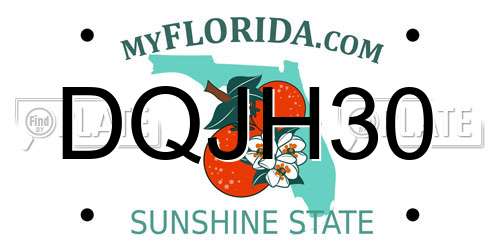 DQJH30 Florida License Plate