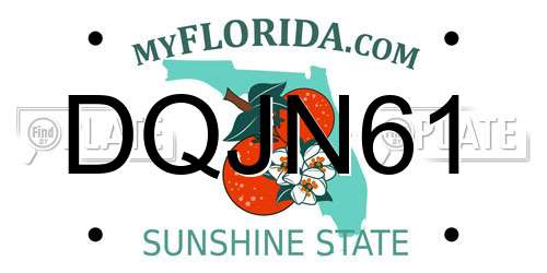 DQJN61 Florida License Plate
