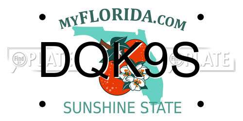 DQK9S Florida License Plate