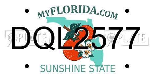 DQL2577 Florida License Plate