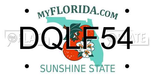 DQLF54 Florida License Plate