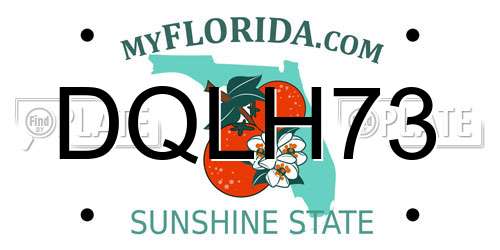 DQLH73 Florida License Plate