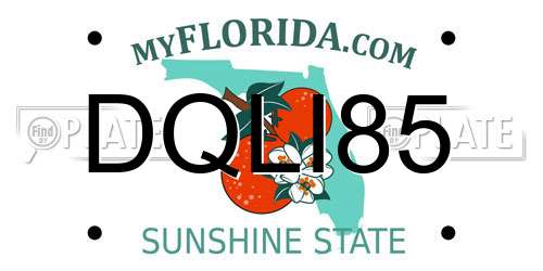 DQLI85 Florida License Plate