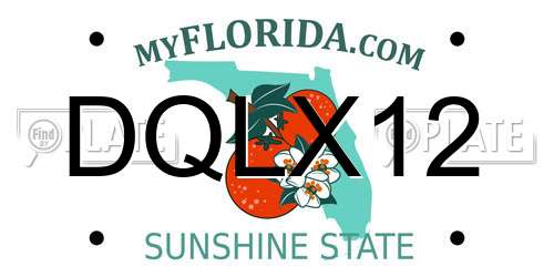 DQLX12 Florida License Plate