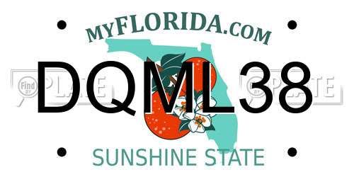DQML38 Florida License Plate