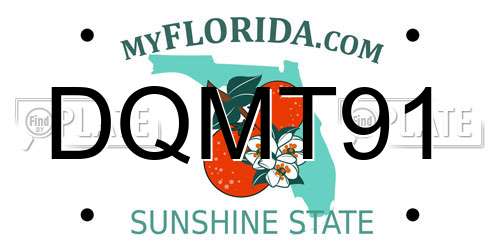 DQMT91 Florida License Plate