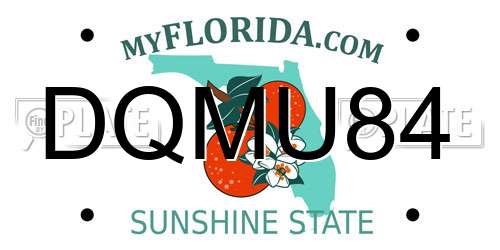DQMU84 Florida License Plate