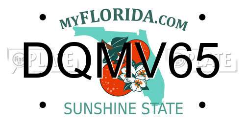 DQMV65 Florida License Plate