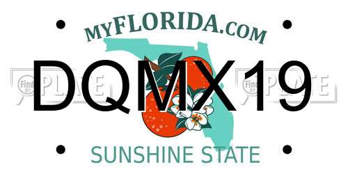 DQMX19 Florida License Plate